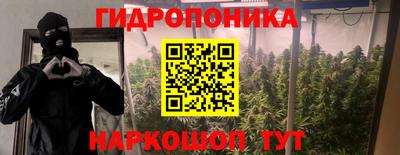 дмт Канаш