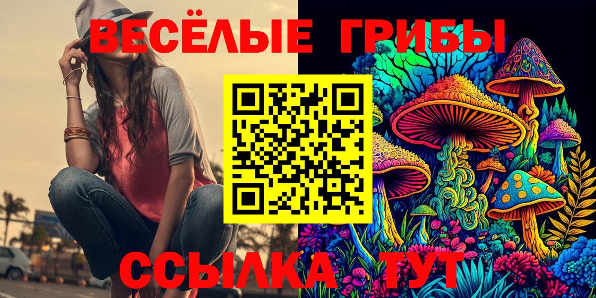 Галлюциногенные грибы Psilocybe  Вход с VPN  Галлюциногенные грибы Magic Shrooms  Шадринск 